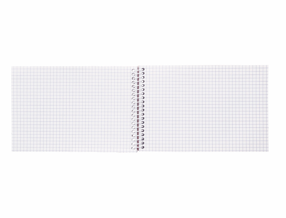 CUADERNO ESPIRAL LIDERPAPEL BOLSILLO DIECISEIAVO APAISADO WITTY TAPA DURA DURA 80H 60 GRCUADRO 4 MM COLORES STDOS.